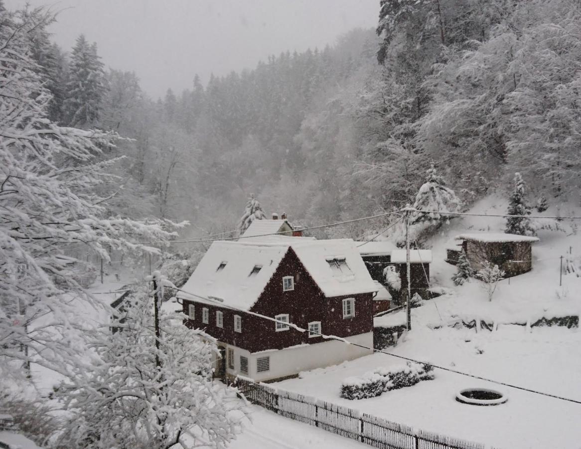 Ferienhaus Bildhauer Thiele Ottendorf  Bagian luar foto